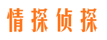 安县市侦探公司